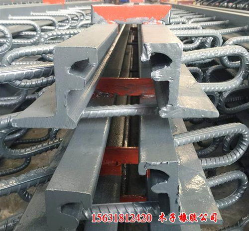 汕頭市 養護知識明確